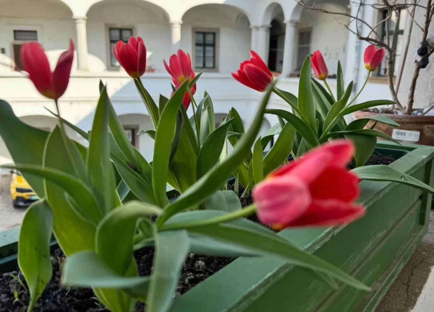 Forst-Haz Apartman Eger Apartment